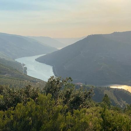Quinta Da Casa Cimeira, Guest House, Wines & Food Valenca do Douro ภายนอก รูปภาพ