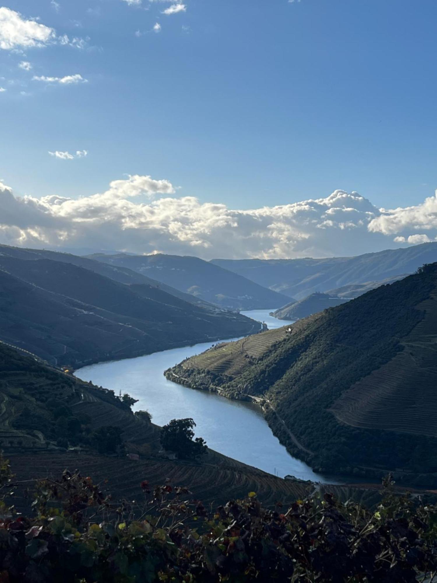 Quinta Da Casa Cimeira, Guest House, Wines & Food Valenca do Douro ภายนอก รูปภาพ