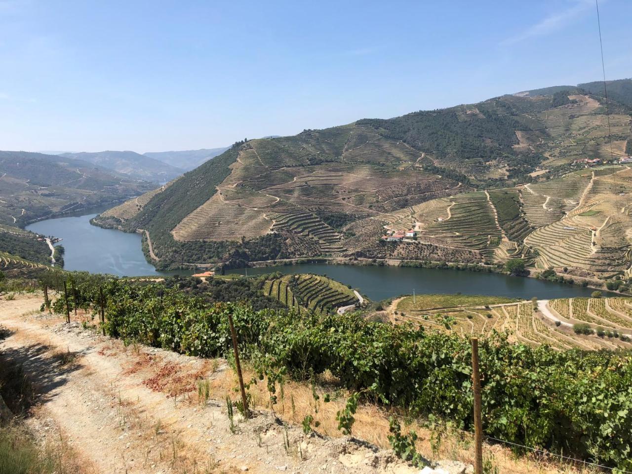 Quinta Da Casa Cimeira, Guest House, Wines & Food Valenca do Douro ภายนอก รูปภาพ