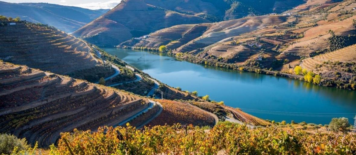 Quinta Da Casa Cimeira, Guest House, Wines & Food Valenca do Douro ภายนอก รูปภาพ