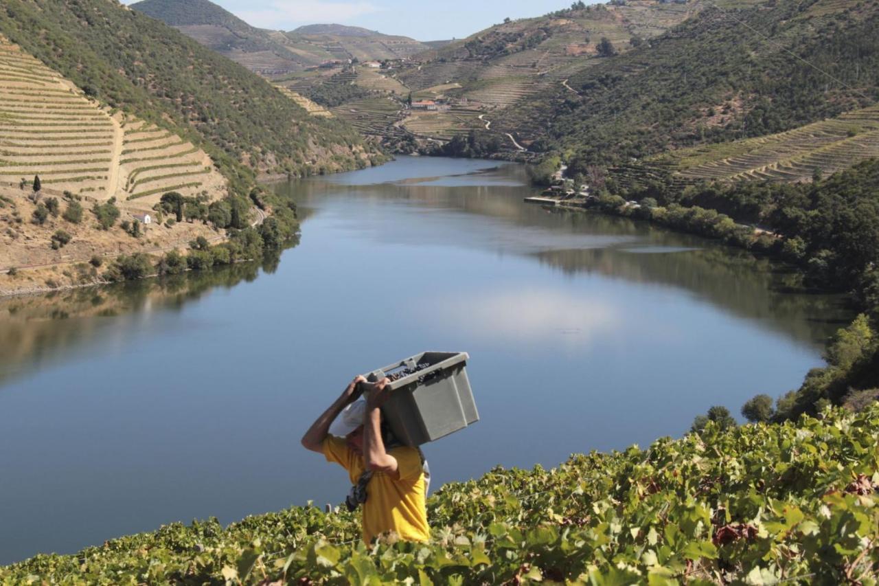 Quinta Da Casa Cimeira, Guest House, Wines & Food Valenca do Douro ภายนอก รูปภาพ